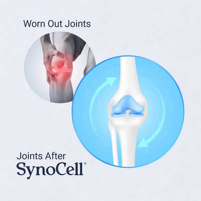 Synocell Joint Support with ASU, Quercetin, Boswellia & Hyaluronic Acid